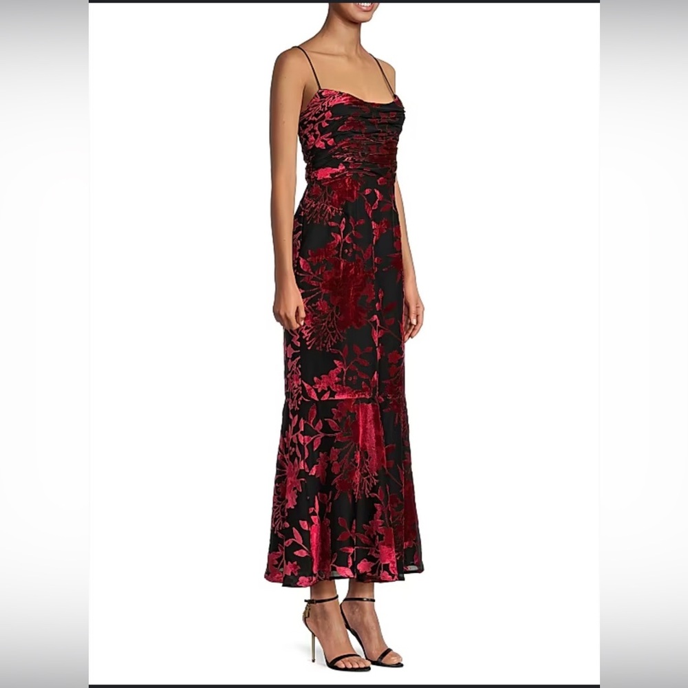 NWT Hutch Tylia Ruched Velvet Burnout Bouquet Maxi Dress